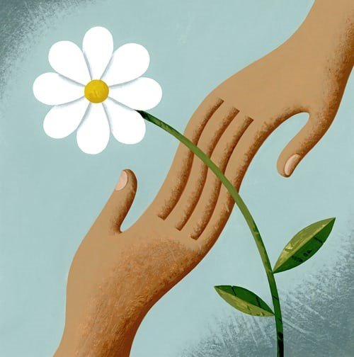 Hands touching in front of a Flower